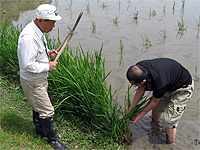 ���n��Ƃ͎��Ƃōs���܂�