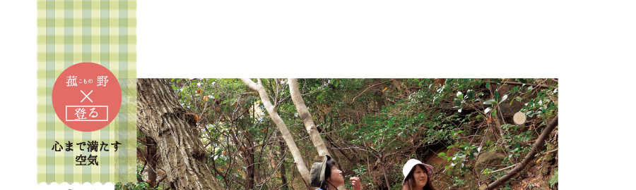 空につづく山道を登る