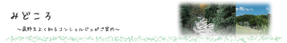 みどころ～菰野をよく知るコンシェルジュがご案内～